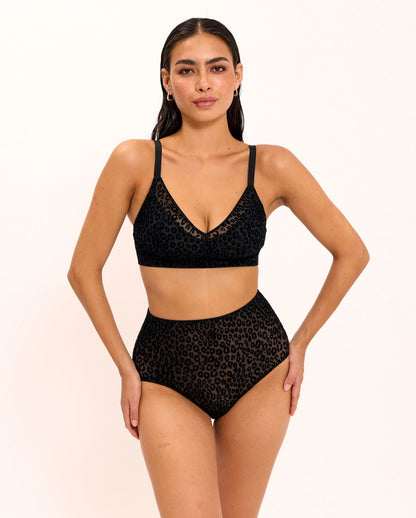 model-name=Asia|model-size=M