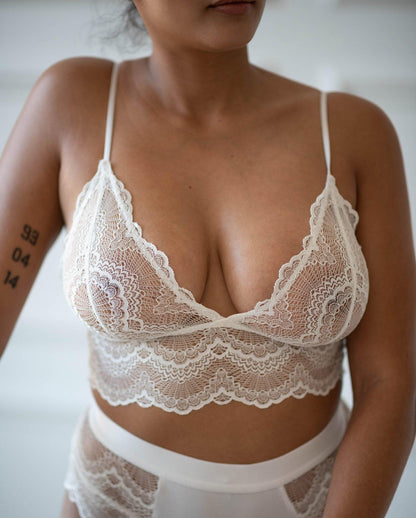 model-name=Pamela|model-size=L