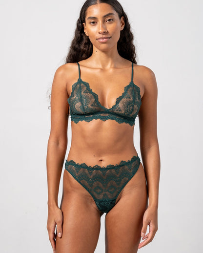 model-name=Luna|model-size=M