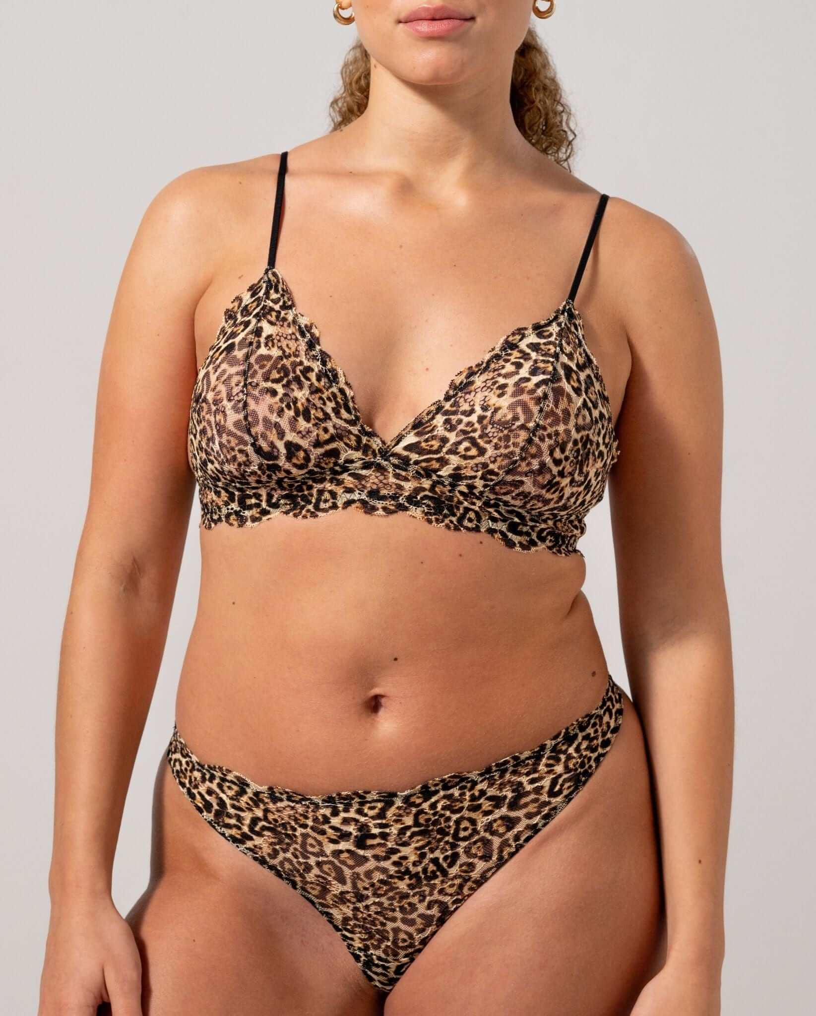 model-name=Nora|model-size=M