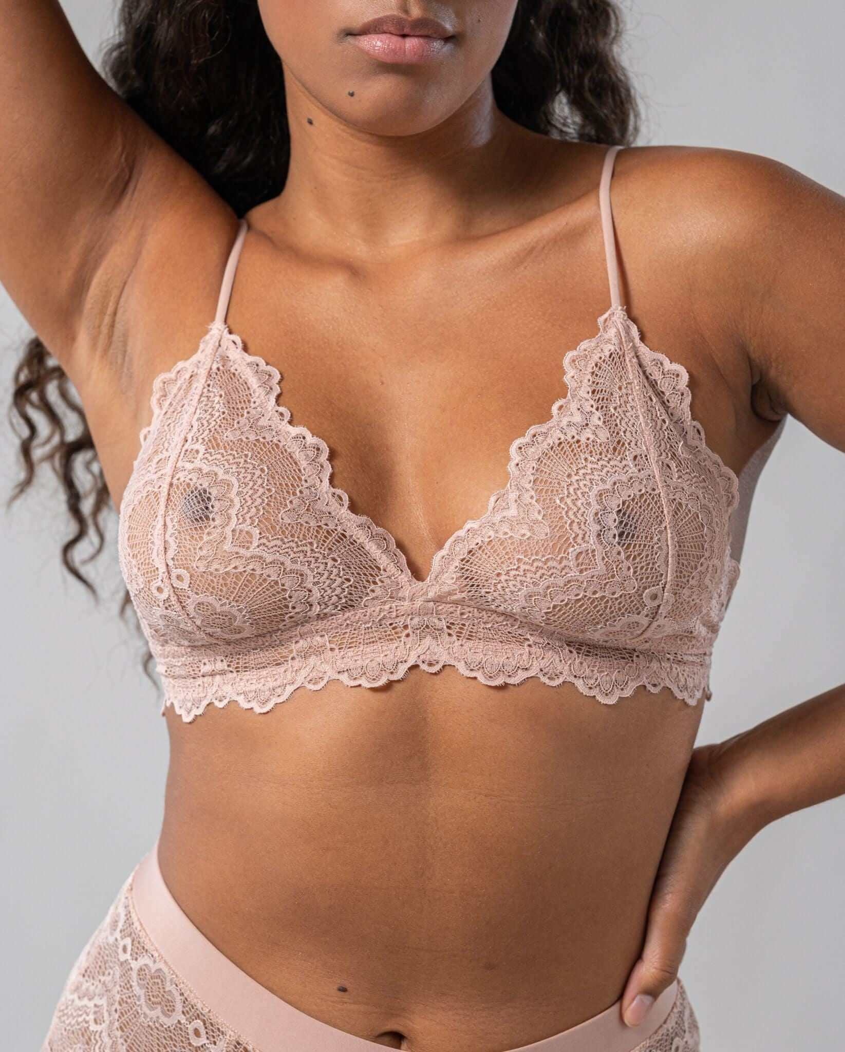 model-name=Luna|model-size=M