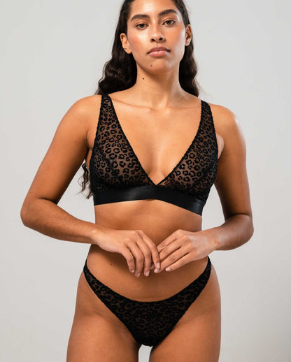 model-name=Luna|model-size=M