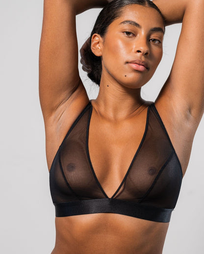model-name=Luna|model-size=M