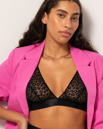 model-name=Luna|model-size=M