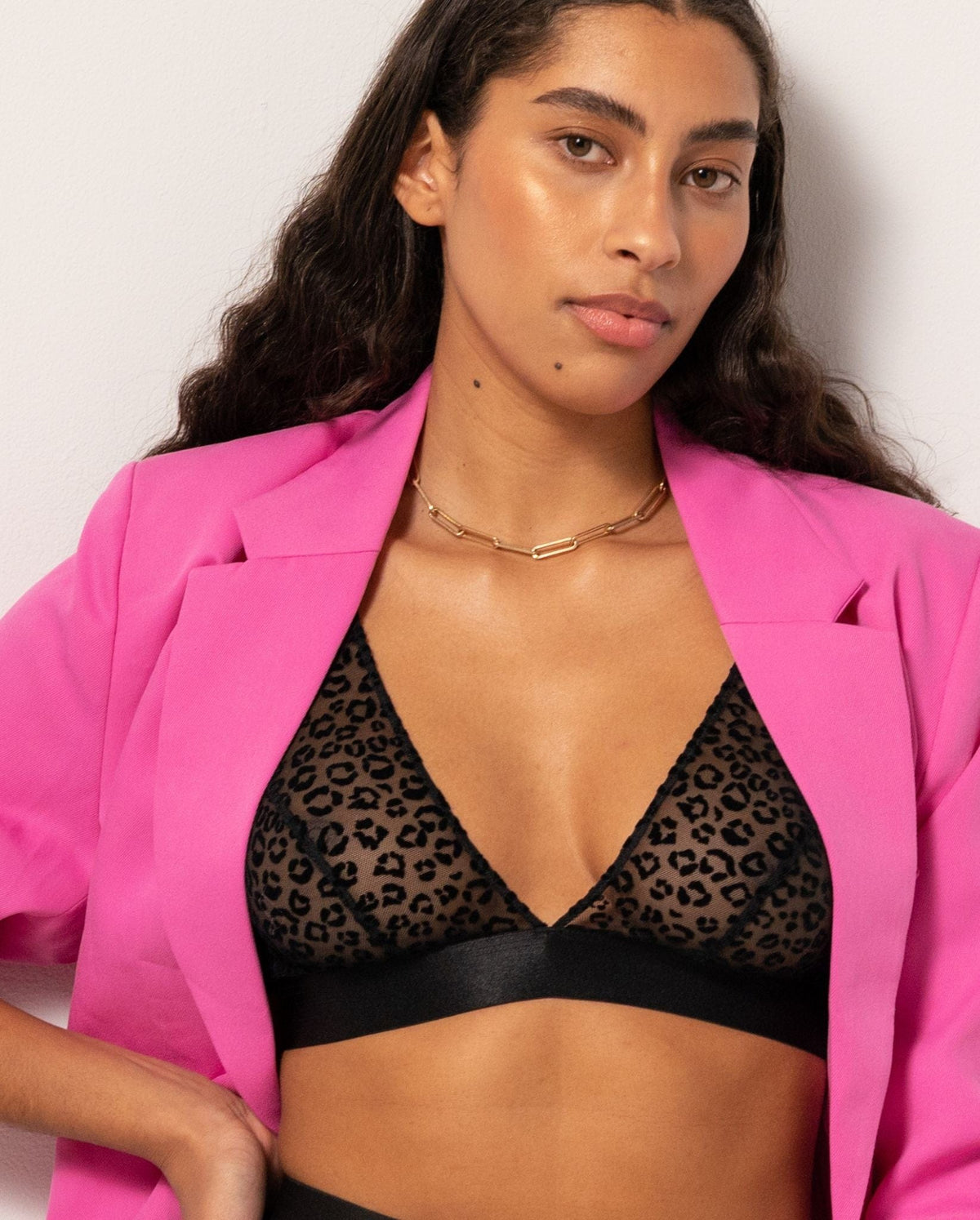 model-name=Luna|model-size=M