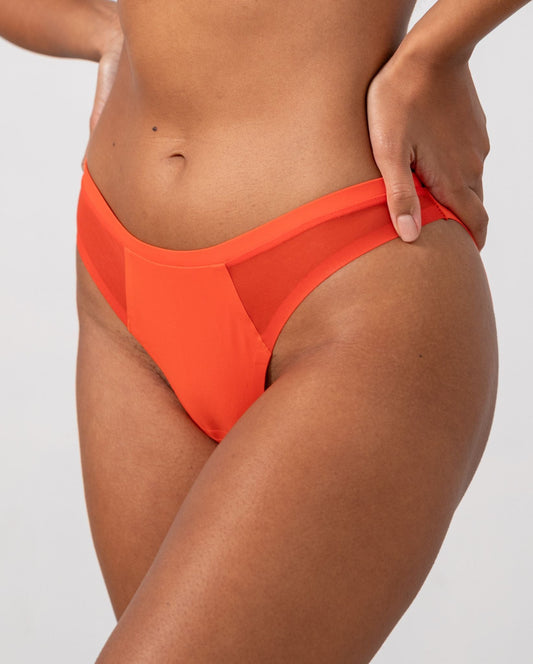 model-name=Luna|model-size=M