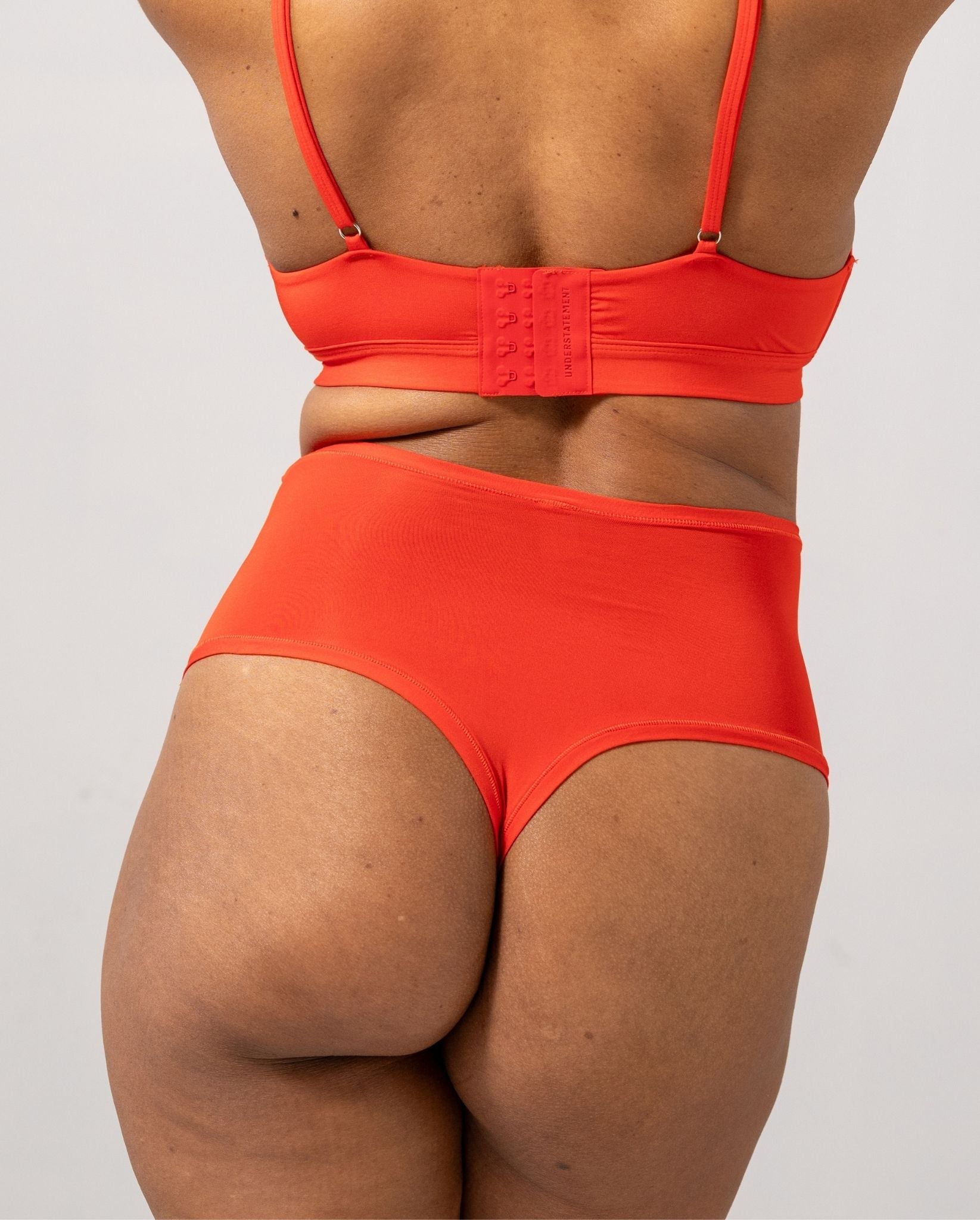 model-name=Eva|model-size=L