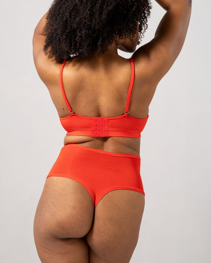 model-name=Eva|model-size=L