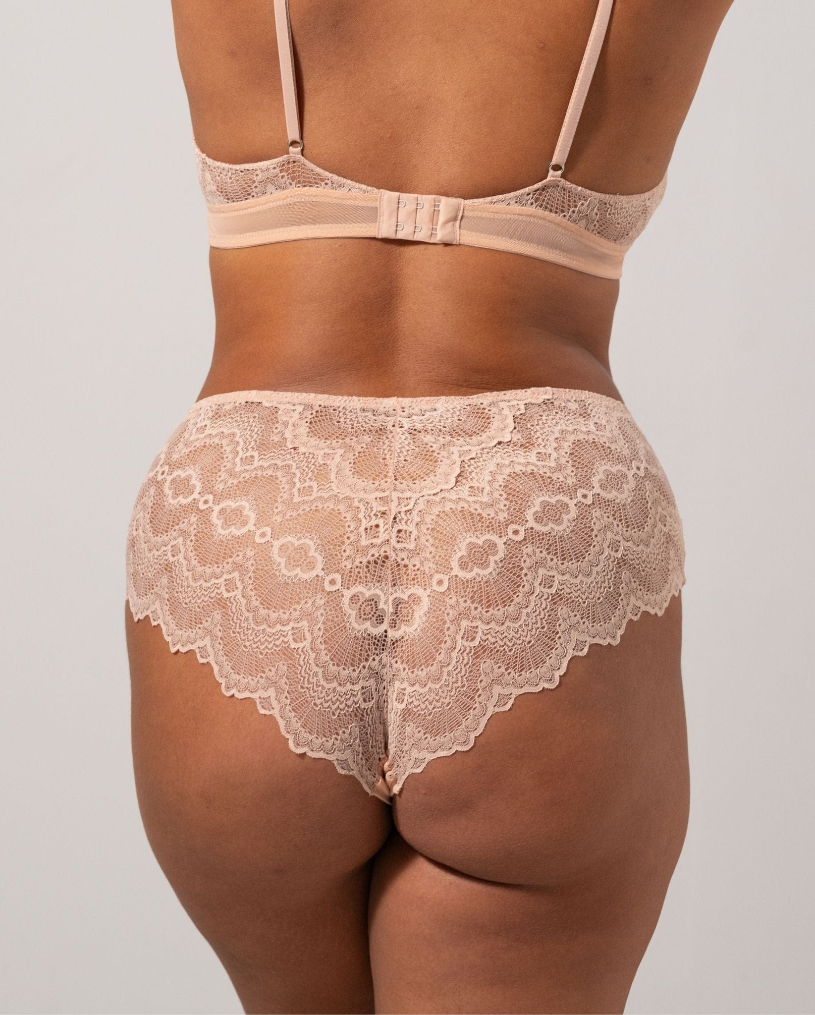 |model-size=XL|