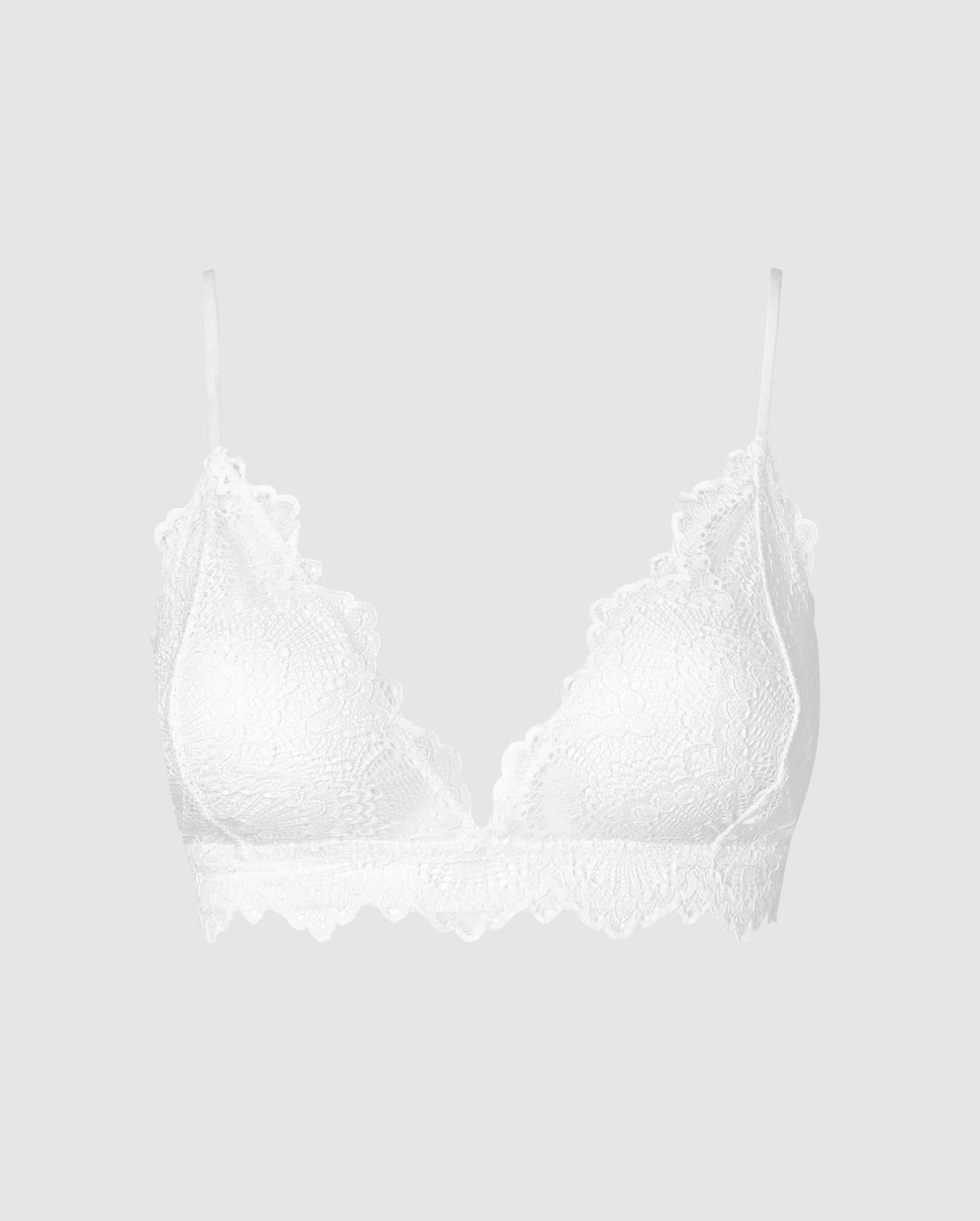 color_off-white_hover