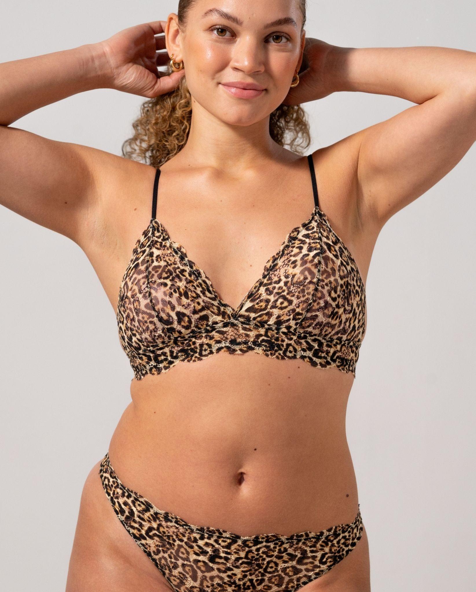 |model-size=M|