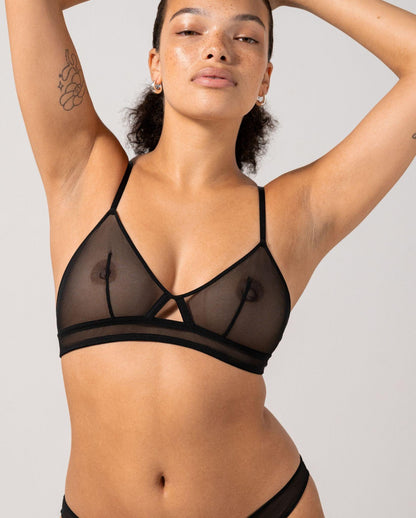 |model-size=M|
