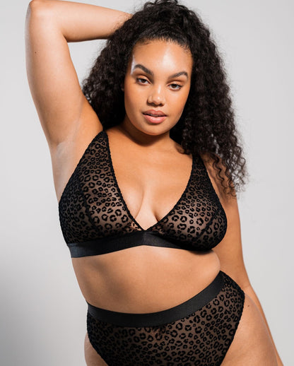 |model-size=XL|